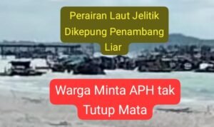 laut jelitik