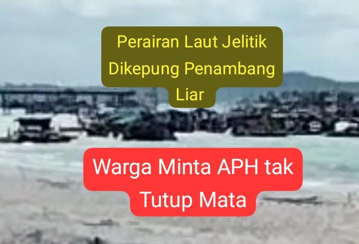 laut jelitik